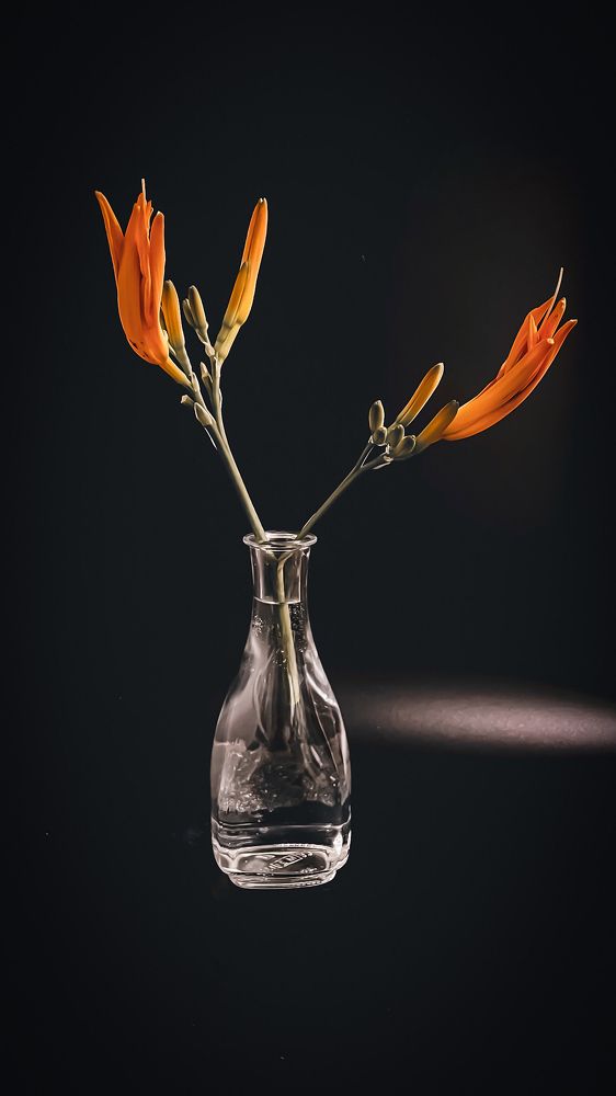 Photograph by Людмила Казак