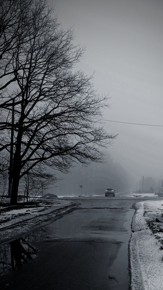 Photograph by Светлана Таркан