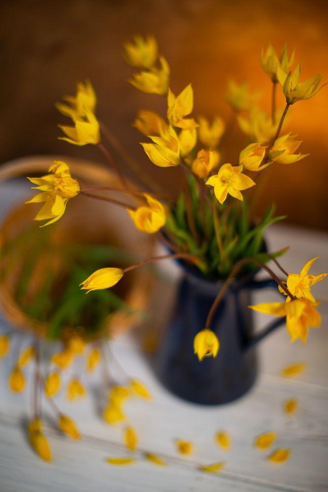 Photograph by Екатерина Лопухова