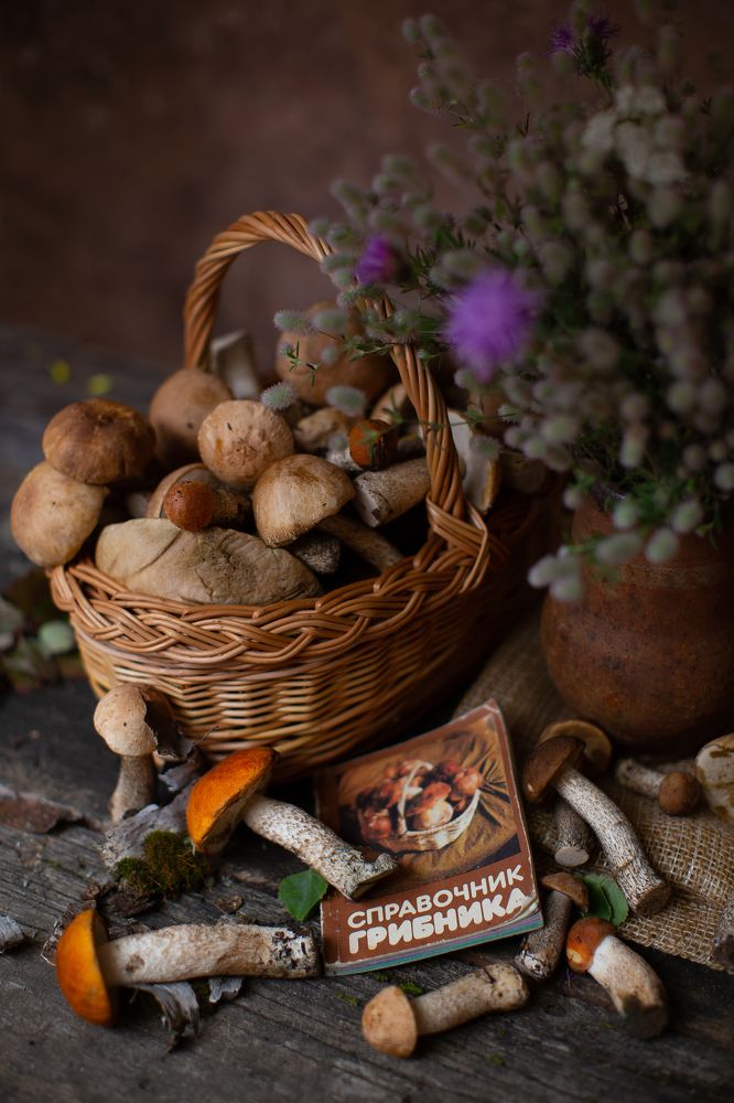 Photograph by Екатерина Лопухова