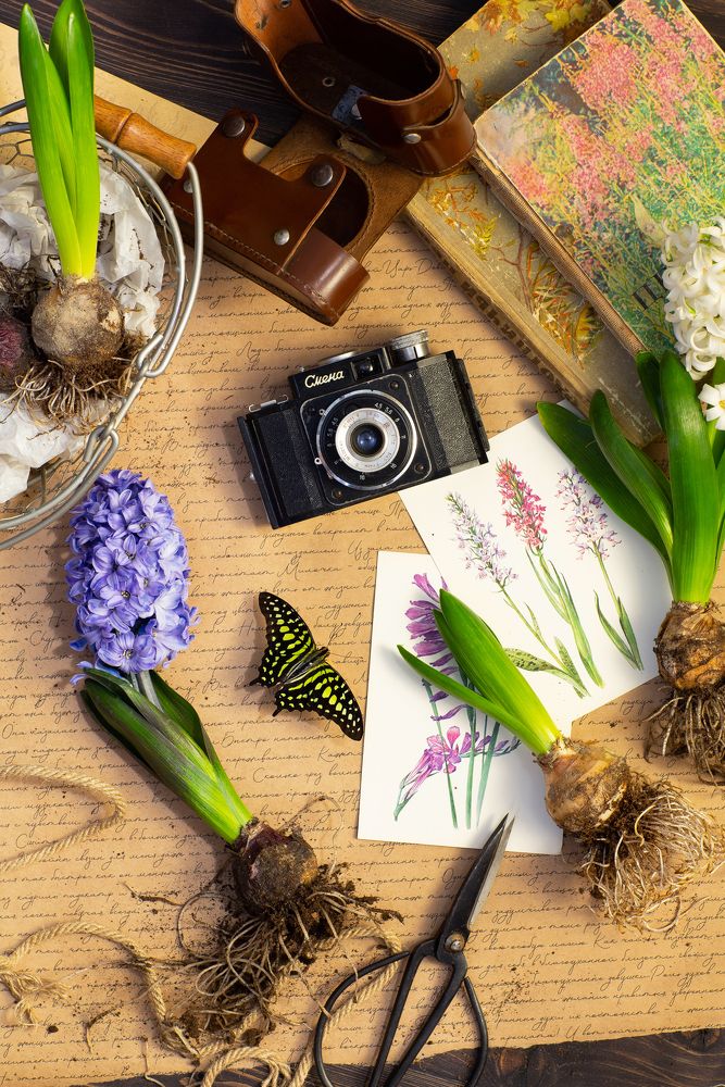 Photograph by Екатерина Лопухова