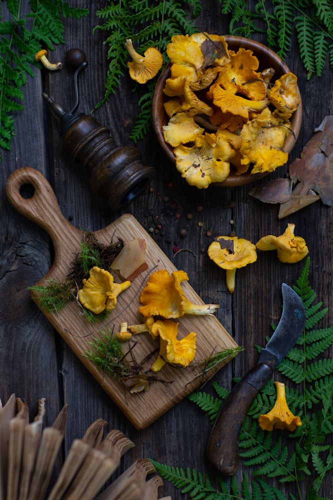 Photograph by Екатерина Лопухова