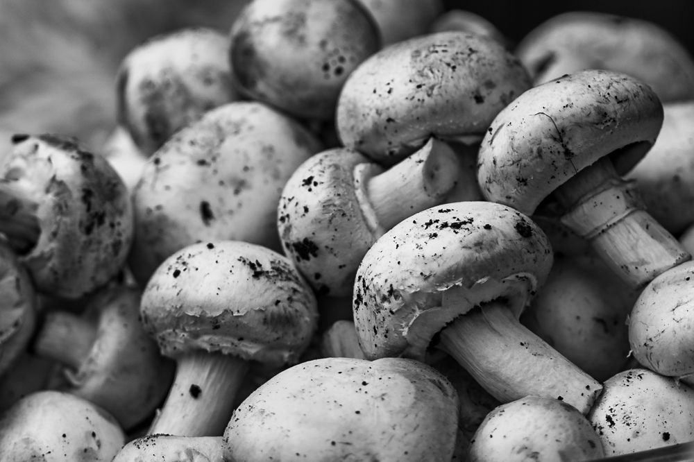 Photograph by Jayakrishna Jayakrishna