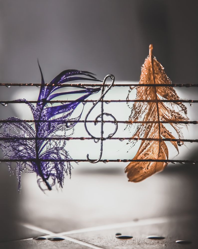 Фотография автора Павел Самотёс