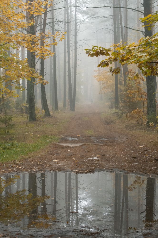 Photograph by Елена Кошелева