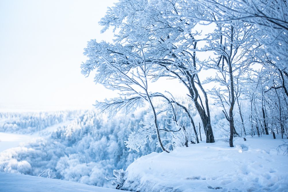 Photograph by Наталья Романова