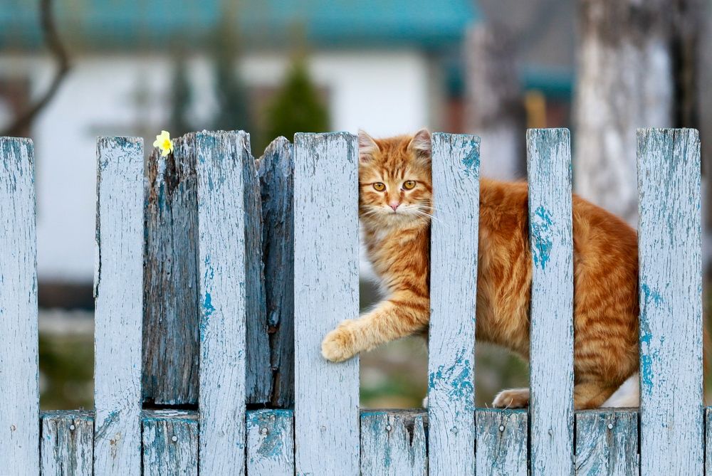 Photograph by Татьяна Исаева