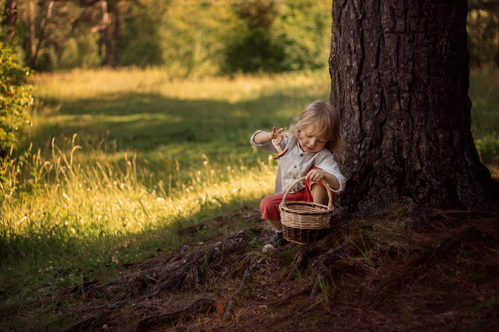 Photograph by Елена Рудь