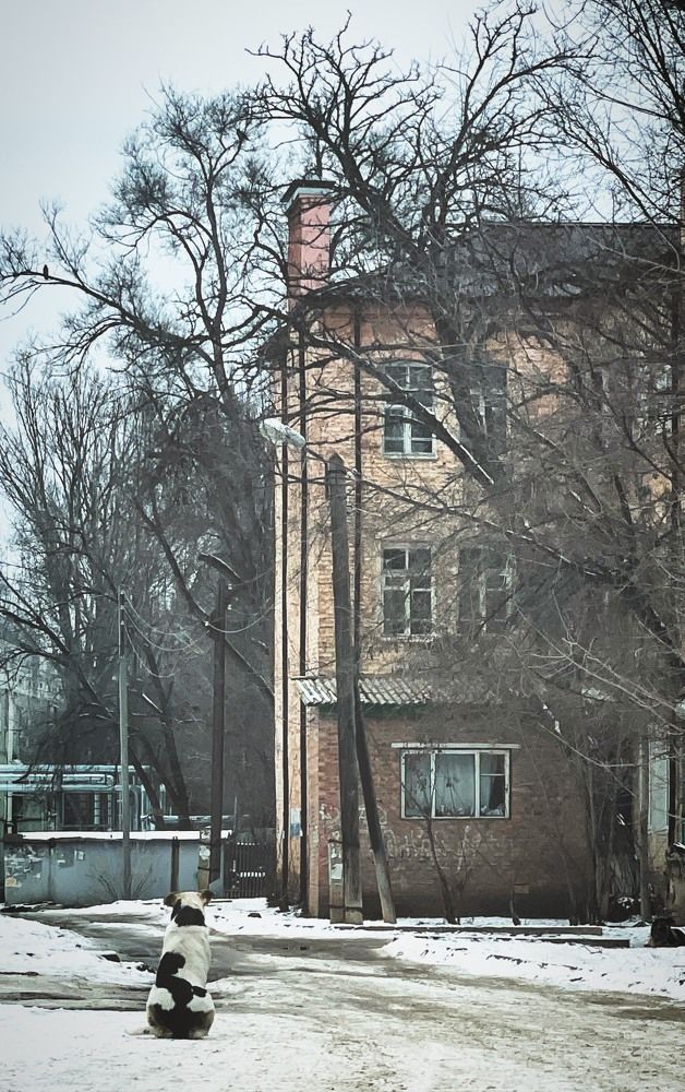 Photograph by Natalya Царева