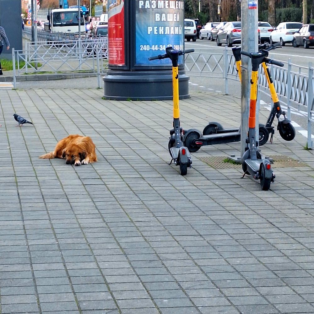 Photograph by Игорь Чечин