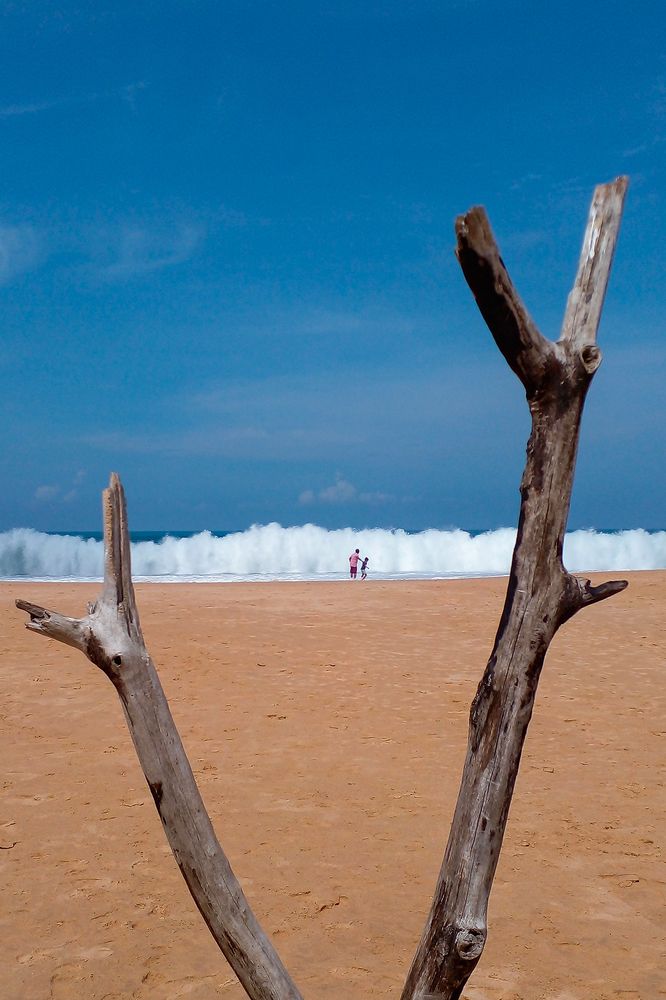 Фотография автора Laddu Sasindu Pramuditha De Silva