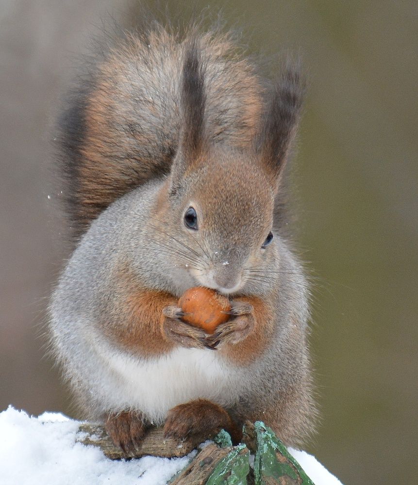 Photograph by Алексей Фомичев