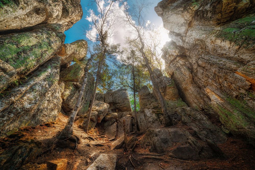 Photograph by Никитин Алексей