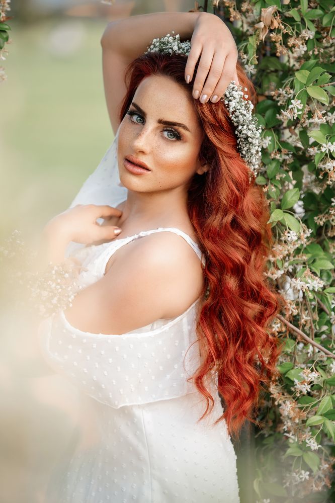 Фотография автора Jalal Ibrahim