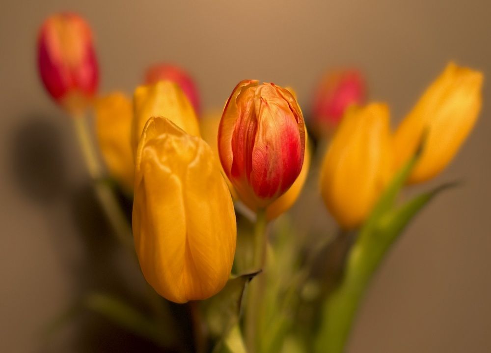 Photograph by Травин Олег