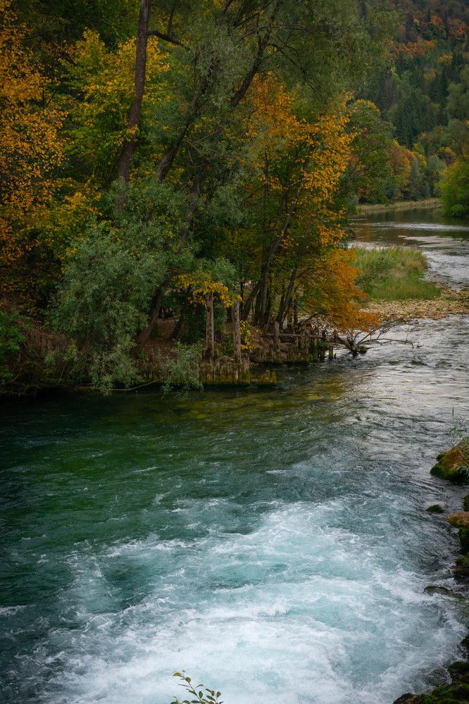 Photograph by Татьяна Хорошун