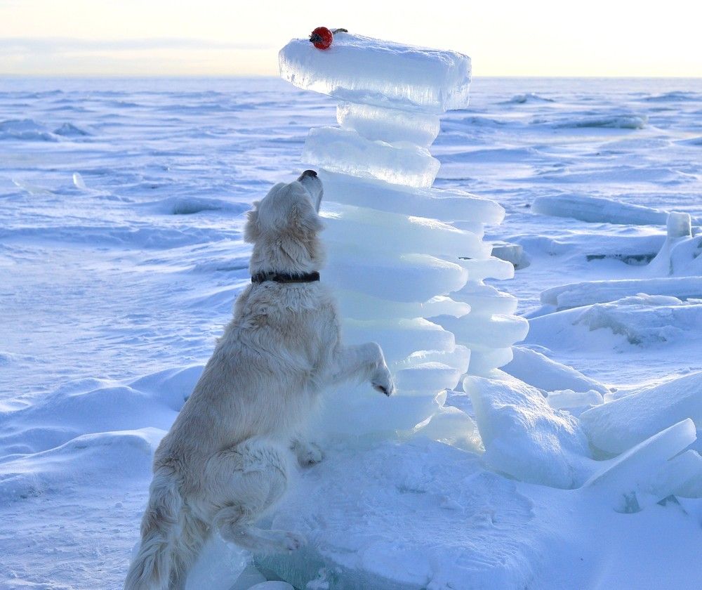 Photograph by Зульфия Султанбекова