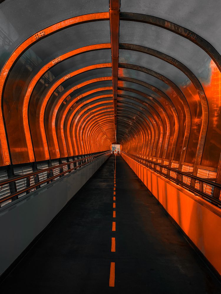 Photograph by Елена Шамраева