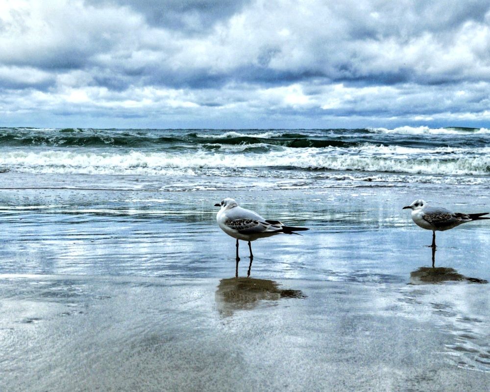 Photograph by Женя Жданова