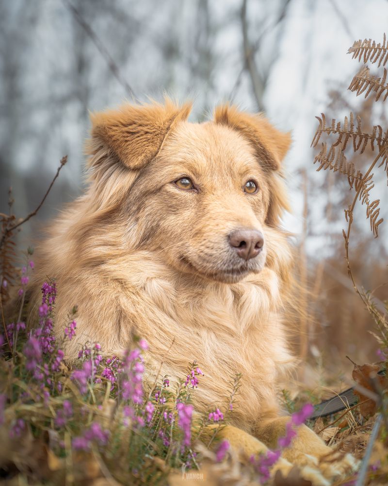 Photograph by Ivan Mandic