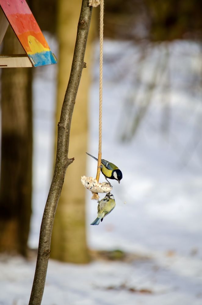 Photograph by Oksana Kuzmina