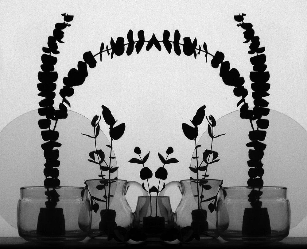 Photograph by 
