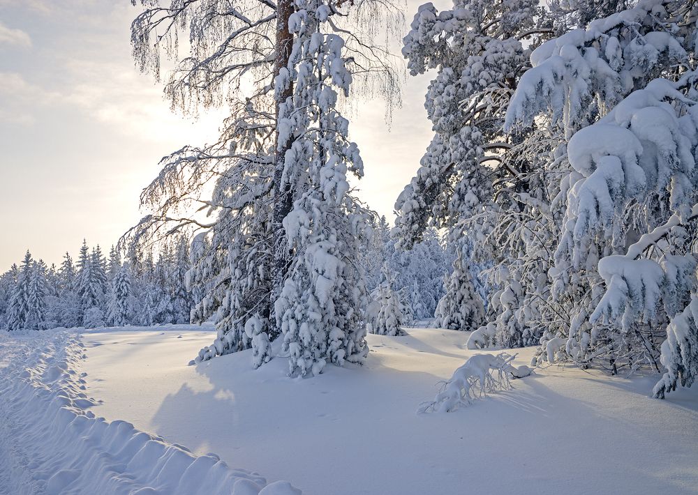 Photograph by Николай Ларионов