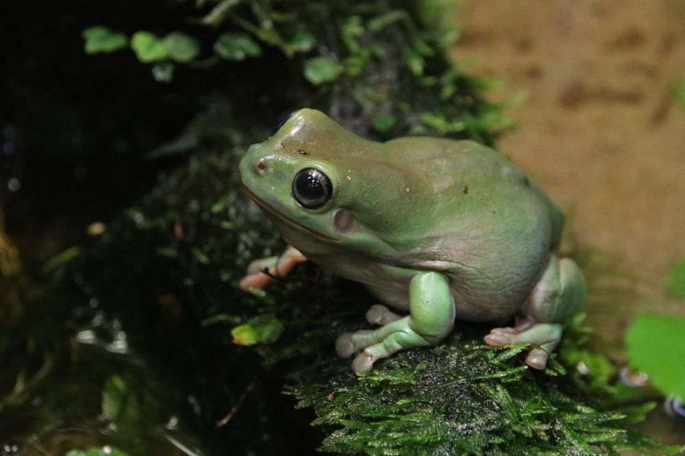 Photograph by Юрий Чистяков