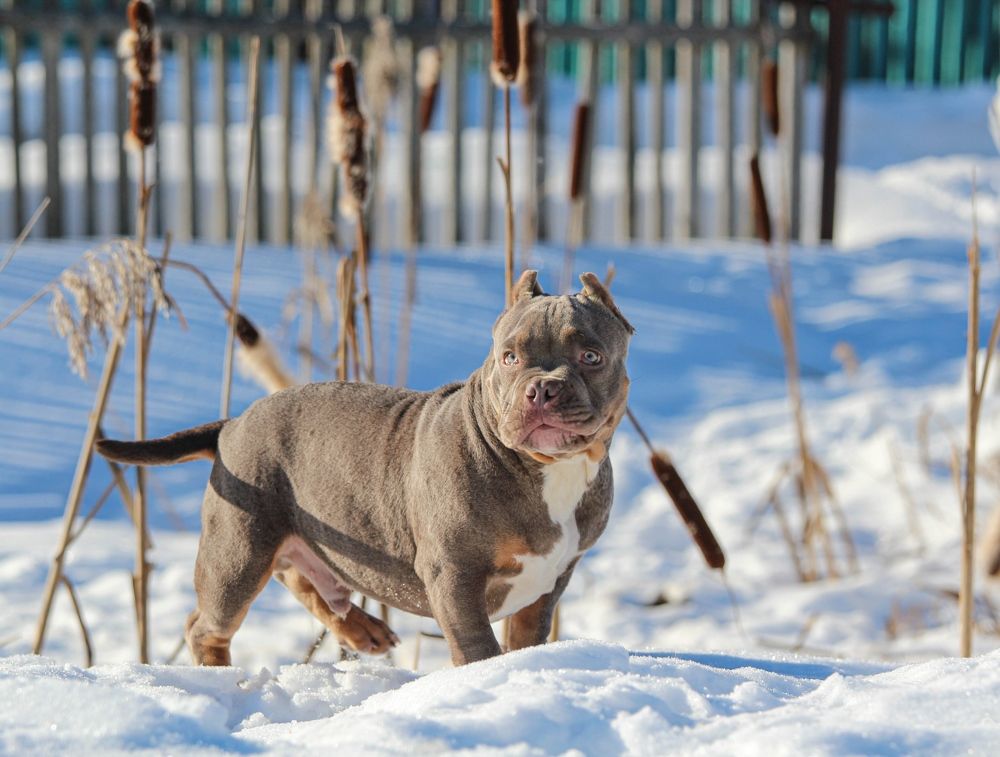 Photograph by Татьяна