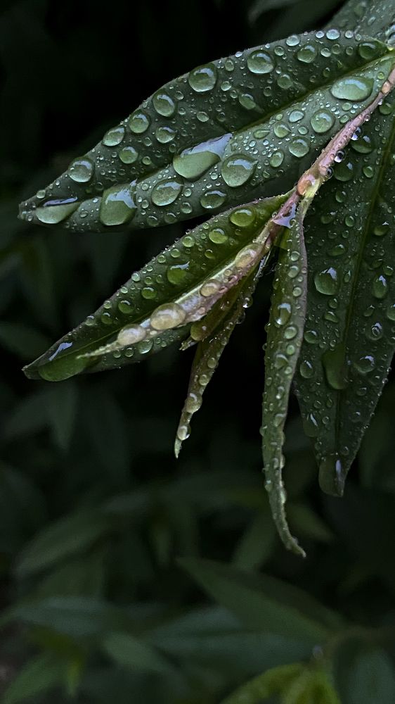 Photograph by Оксана Михайлова