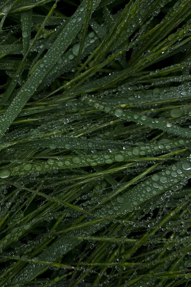 Photograph by Оксана Михайлова