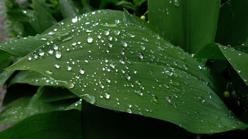 Photograph by Денис Давыдов