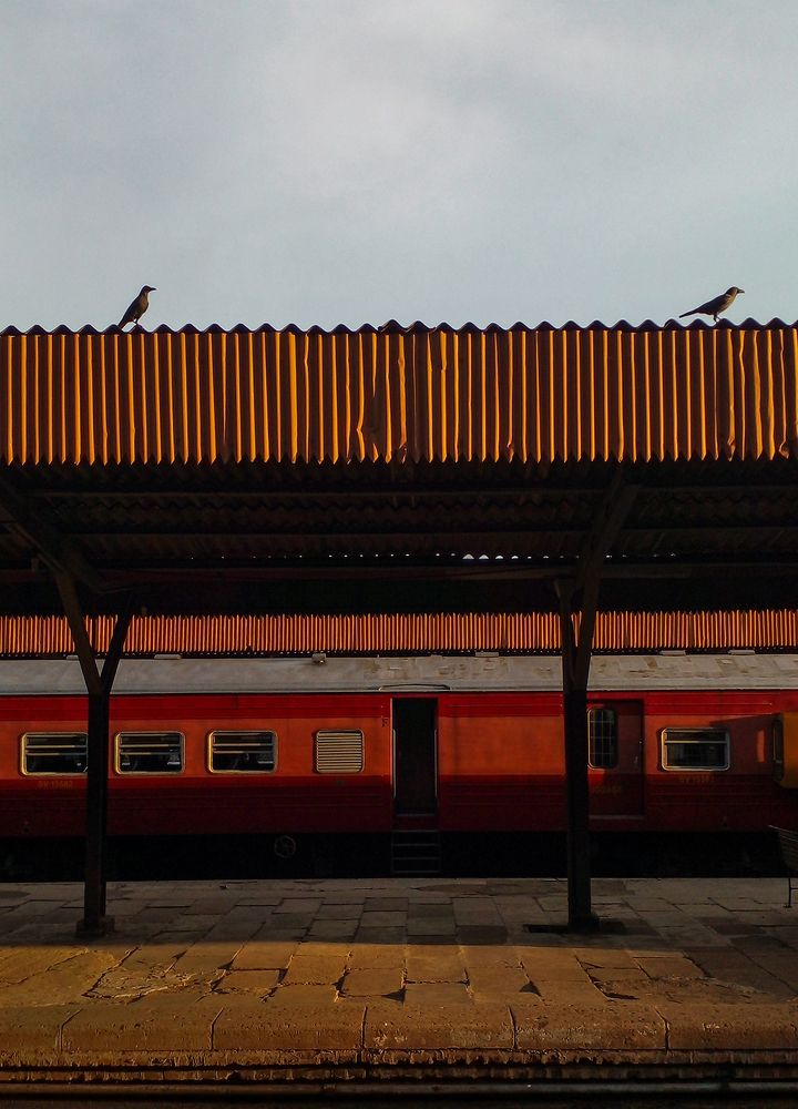 Фотография автора Laddu Sasindu Pramuditha De Silva