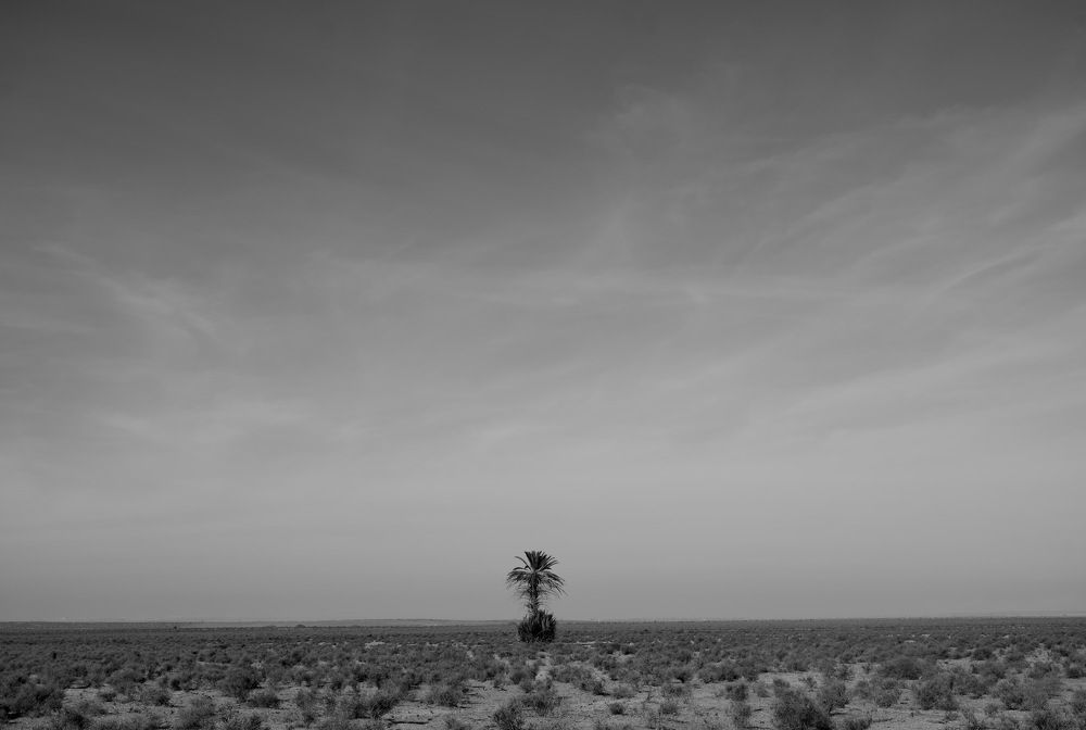 Photograph by Eli Shaw-Throp