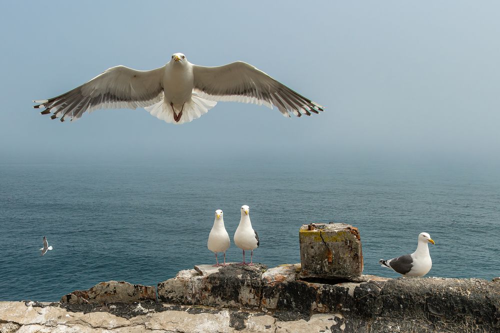 Фотография автора Дмитрий Потапов