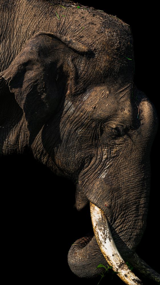 Photograph by Arnold judson Samuel