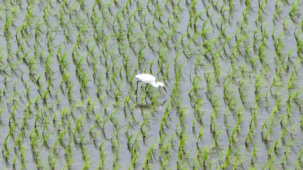 Фотография автора mahyar sj