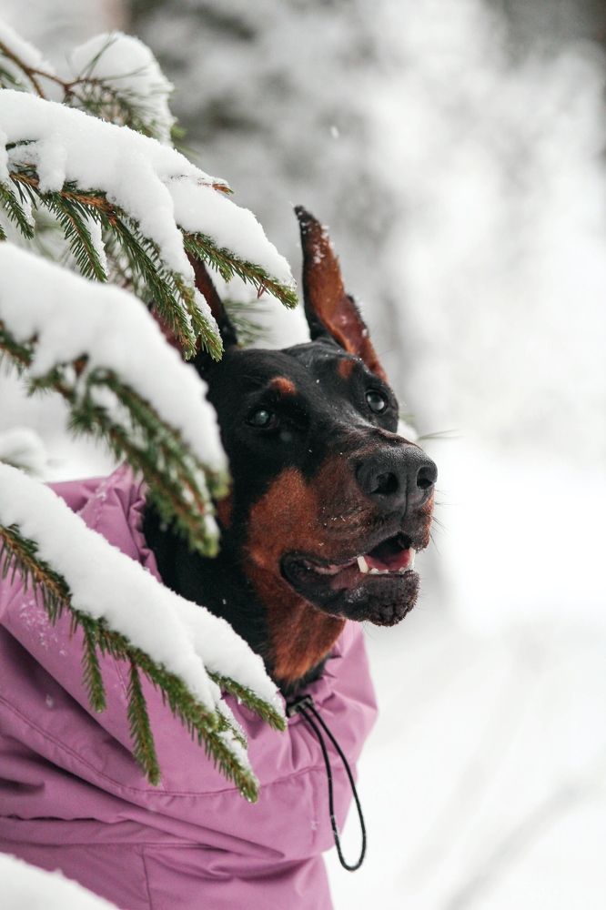 Photograph by Татьяна