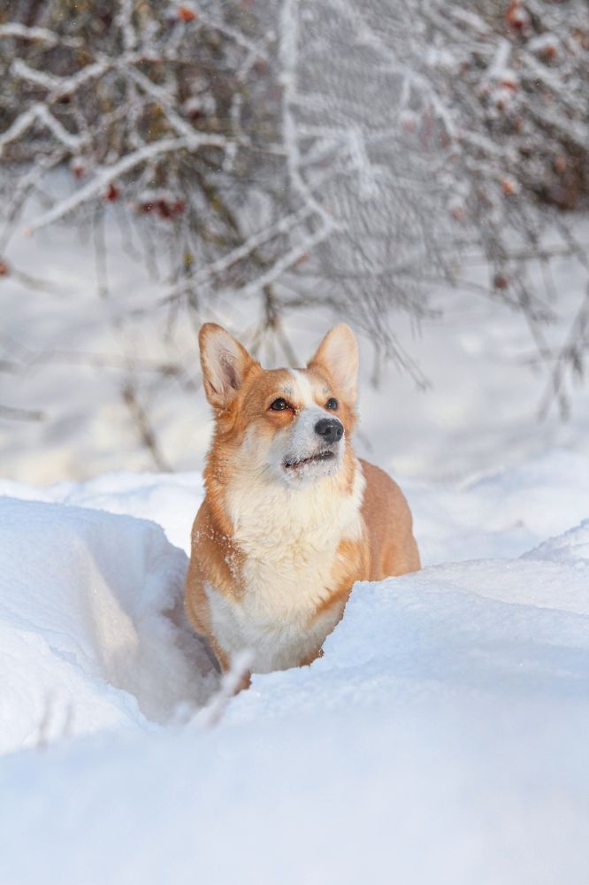 Photograph by Татьяна