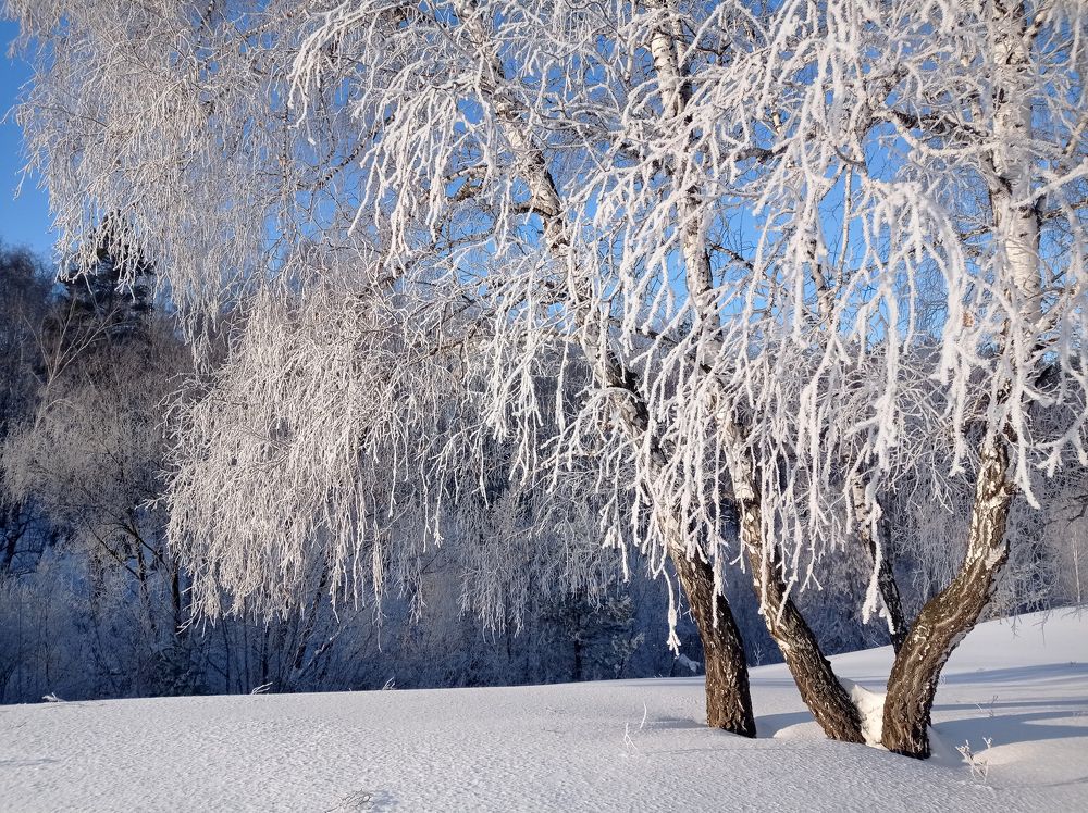 Последние украшения зимы