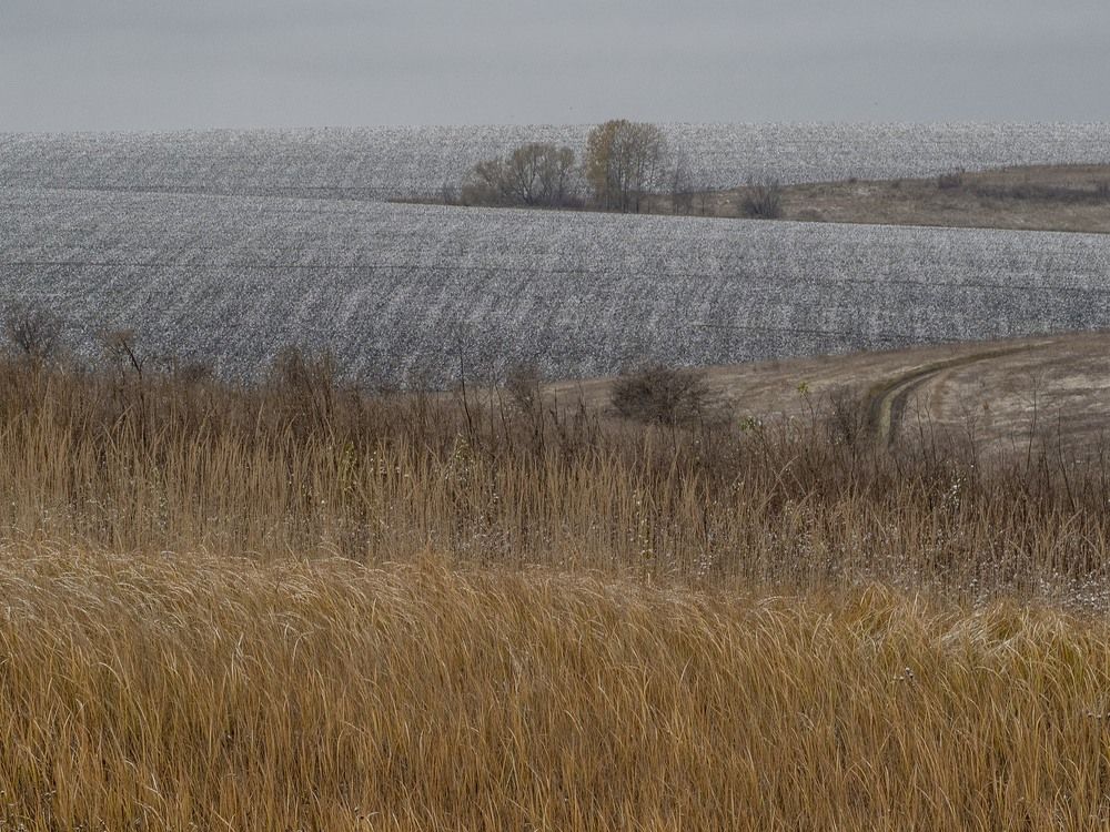 Photograph by Степанов Евгений