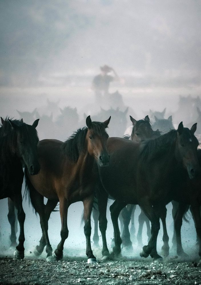 Photograph by Halil İbrahim KAHYA