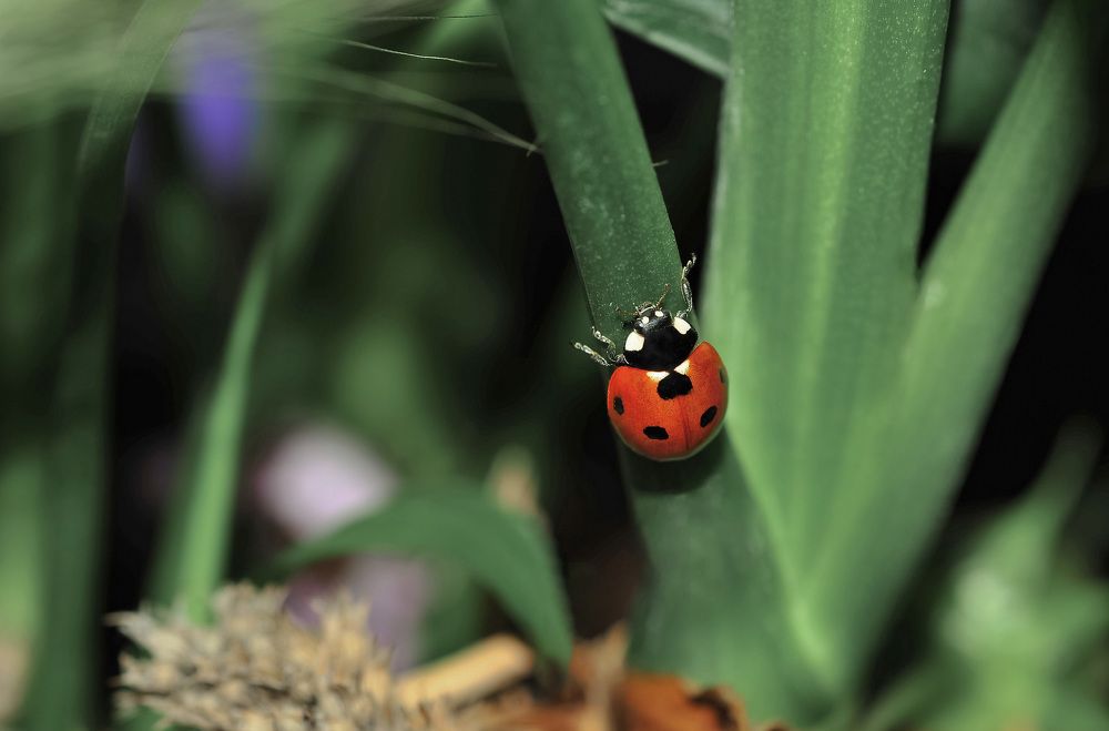 Фотография автора Дмитрий Герасимов