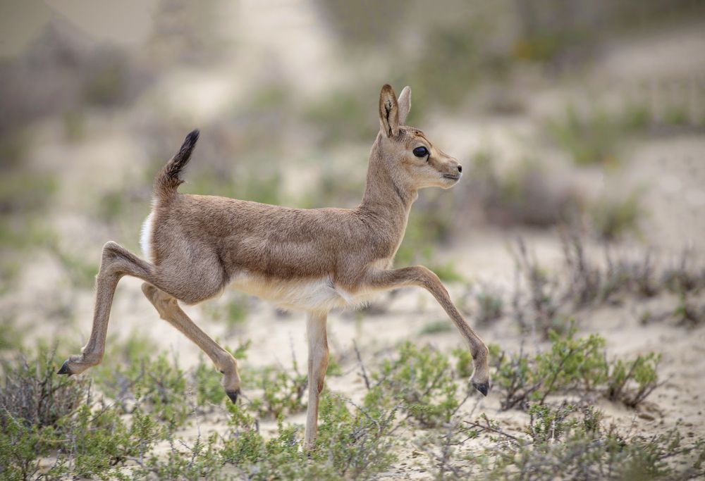Фотография автора Татьяна Меньшикова