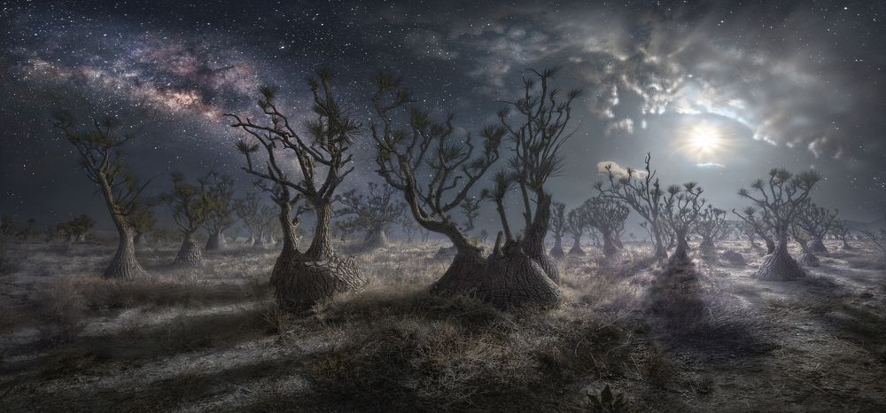 Photograph by Luis Lyons