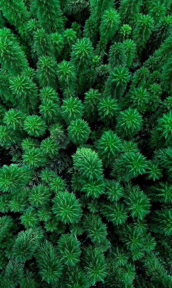 Фотография автора Laddu Sasindu Pramuditha De Silva