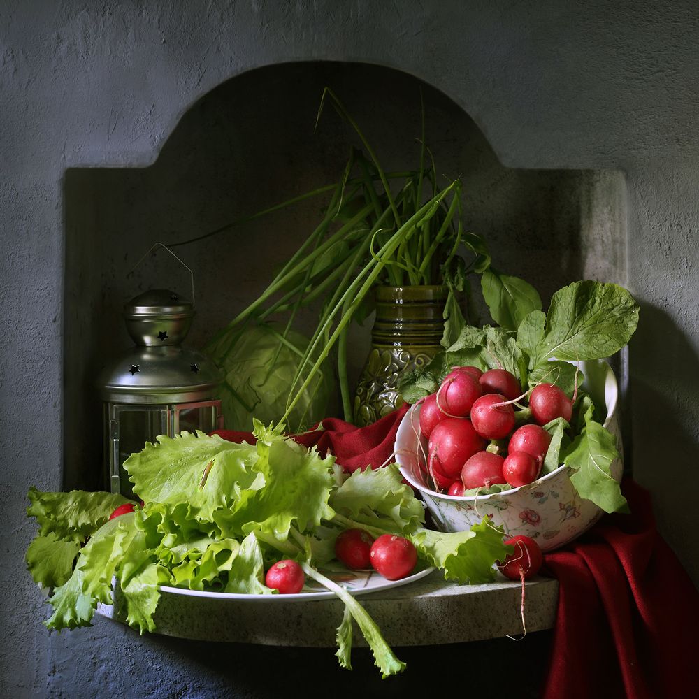 Молодая редиска.