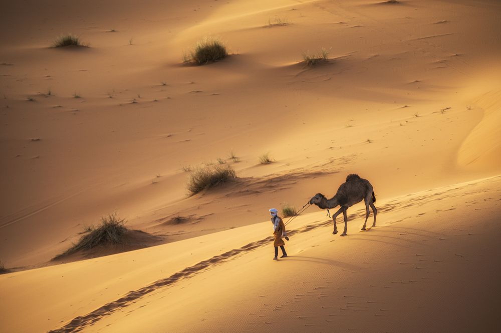 Photograph by Костадин Маджаров