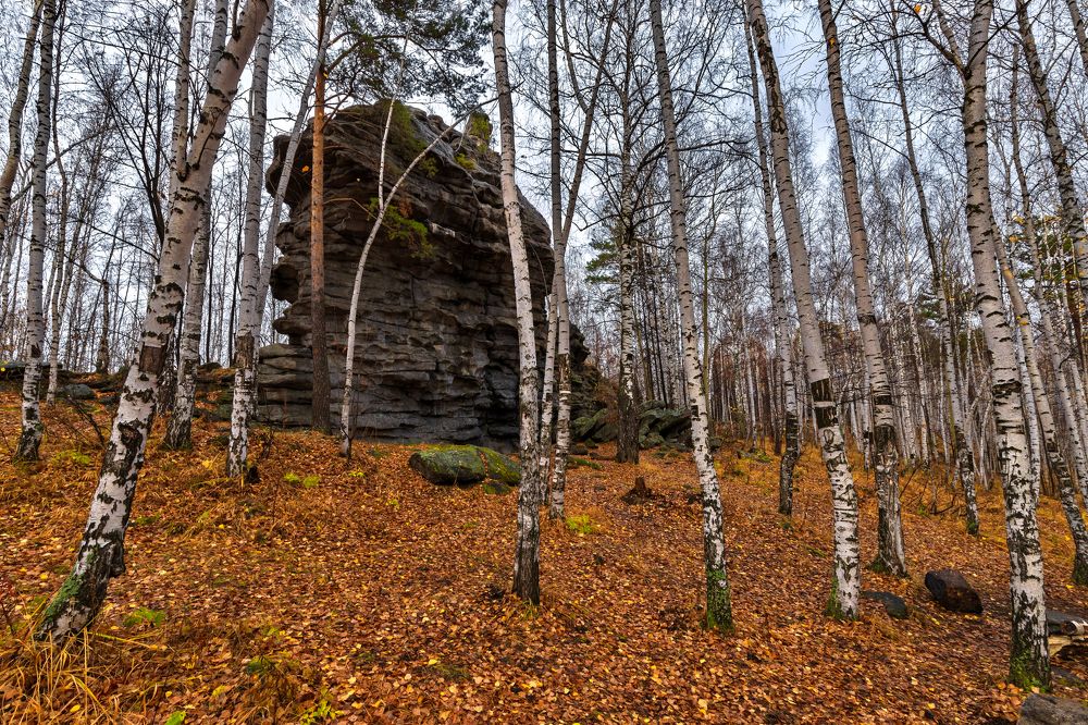 Окружила осень.