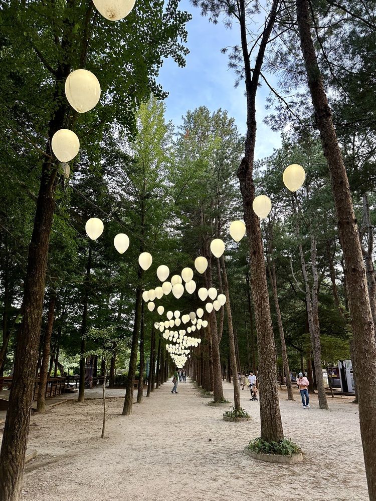 Photograph by Muhammad Faizal